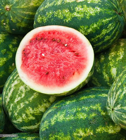 watermelons